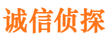 原州市私家侦探